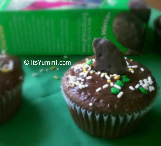 ThinMintCupcake1