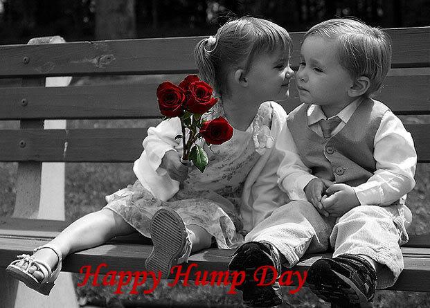 Happy Wednesday
