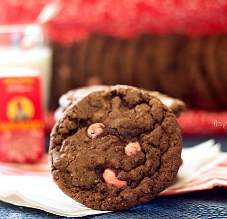 Chocolate Peppermint Raisin Cookies ~~ from ItsYummi.com
