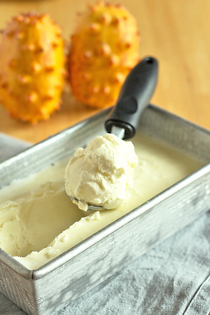 KiwanoCreamsicle Ice Cream {Egg Free} ⋆ Its Yummi