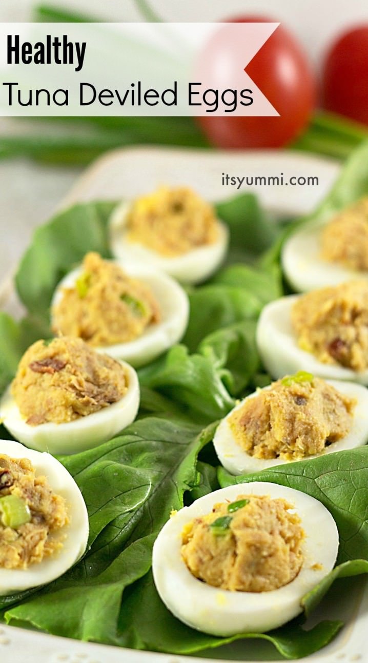 Easy healthy tuna fish recipes Easy healthy tuna fish recipes