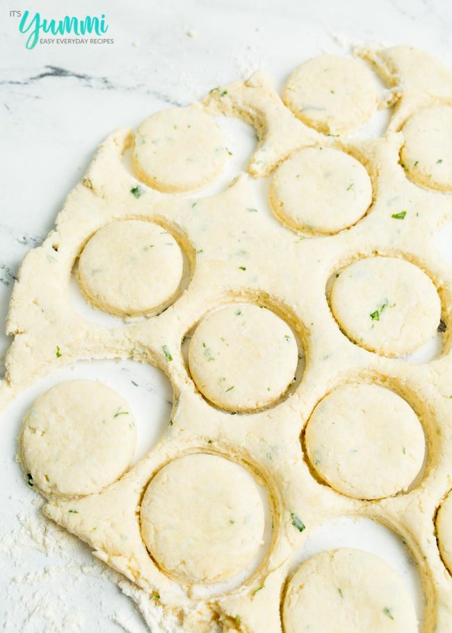 Cheddar Bay Biscuits rolled out dough with cut circles