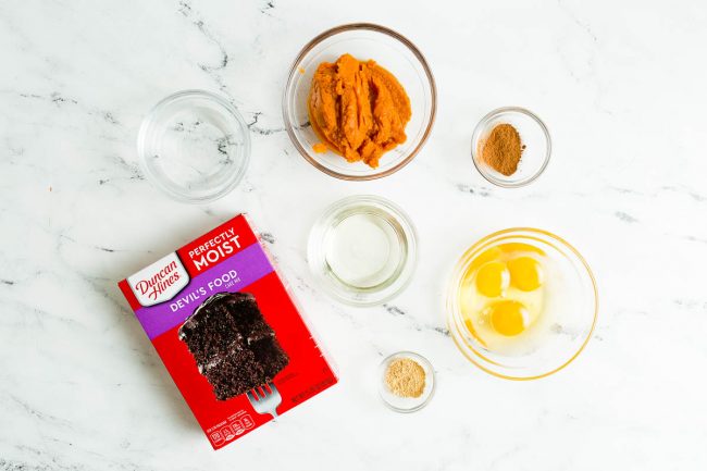 Ingredient Shot for Chocolate Pumpkin Cupcakes with Boxed Cake Mix