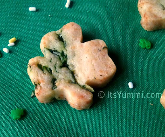 Spinach Parmesan Sables shaped like 4-leaf clovers for St. Patrick's Day