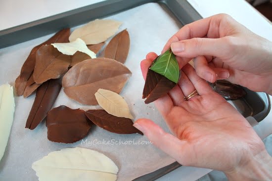How to make chocolate leaves