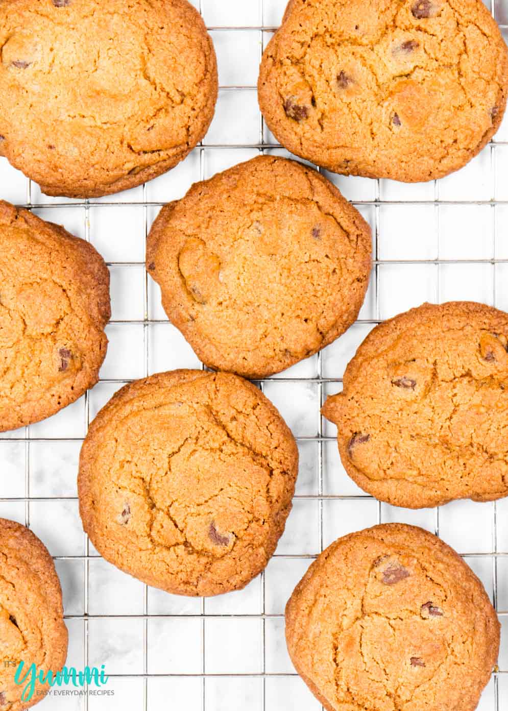 Secret Ingredients to making the best chocolate chip cookies
