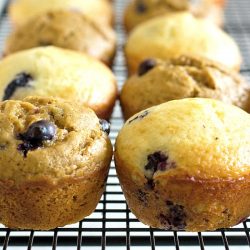 Blueberry Protein Muffins sitting on a cooling rack