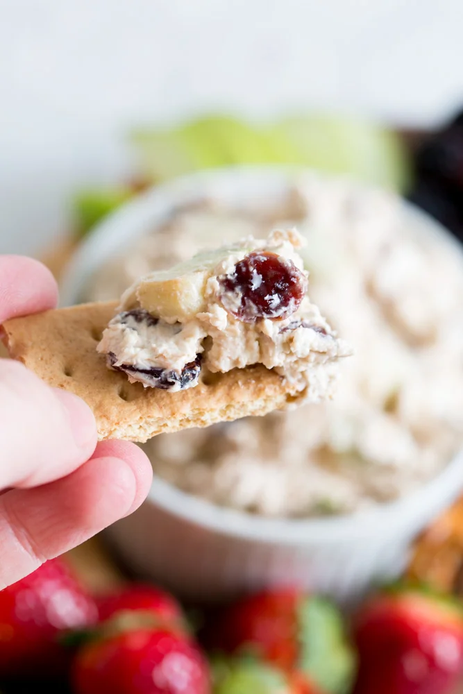 A close up image of cranberry walnut cream cheese dip on a cracker