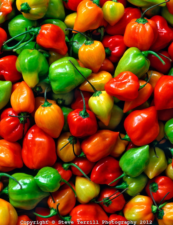 habanero-peppers-steve-terrill-photography. www.terrillphoto.com