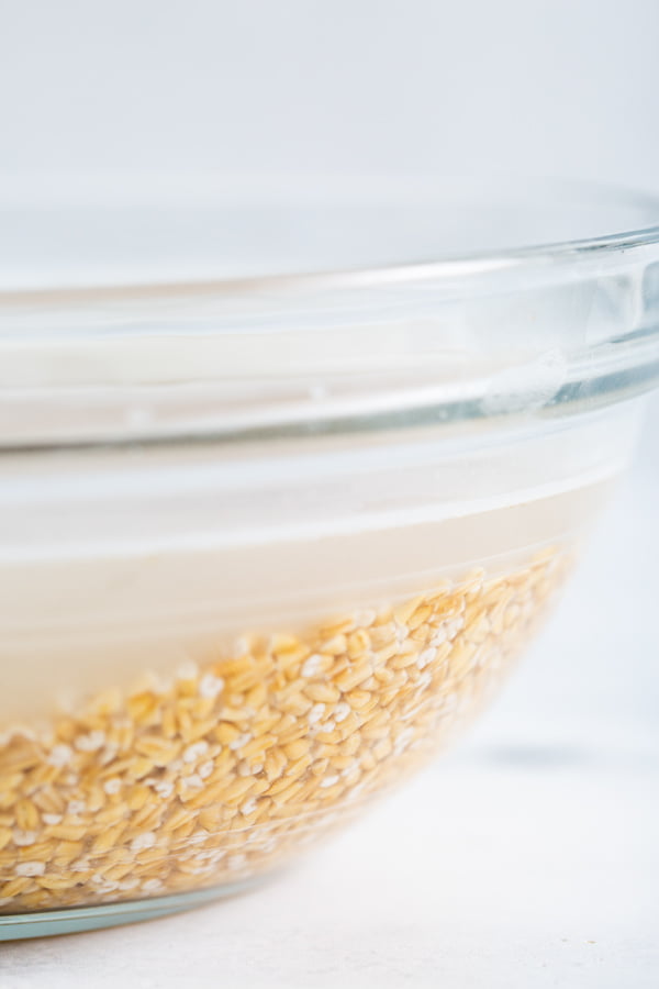 A close up image of steel cut oats in a bowl of water