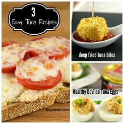 3 Easy Tuna Fish Recipes - These are anything but ordinary!