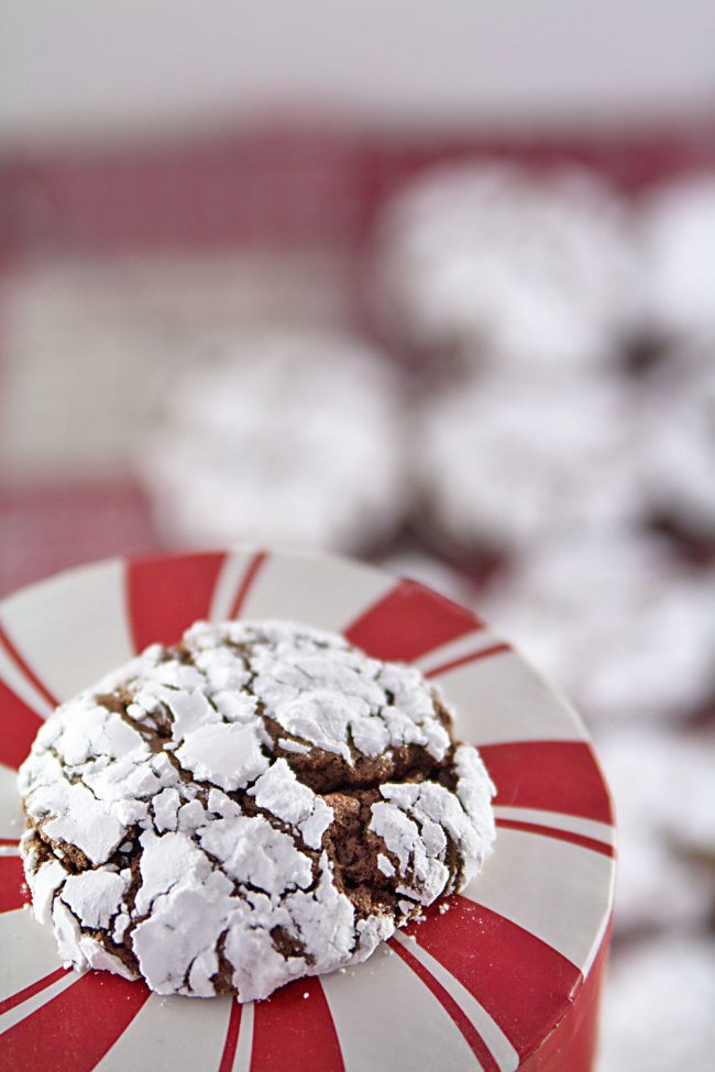 Chocolate Gingerbread Crinkle Cookies | It's Yummi