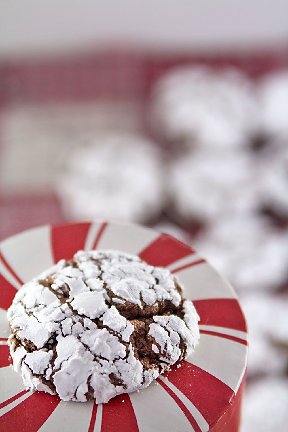 Chocolate Gingerbread Crinkles {Easy Cookie Recipes}