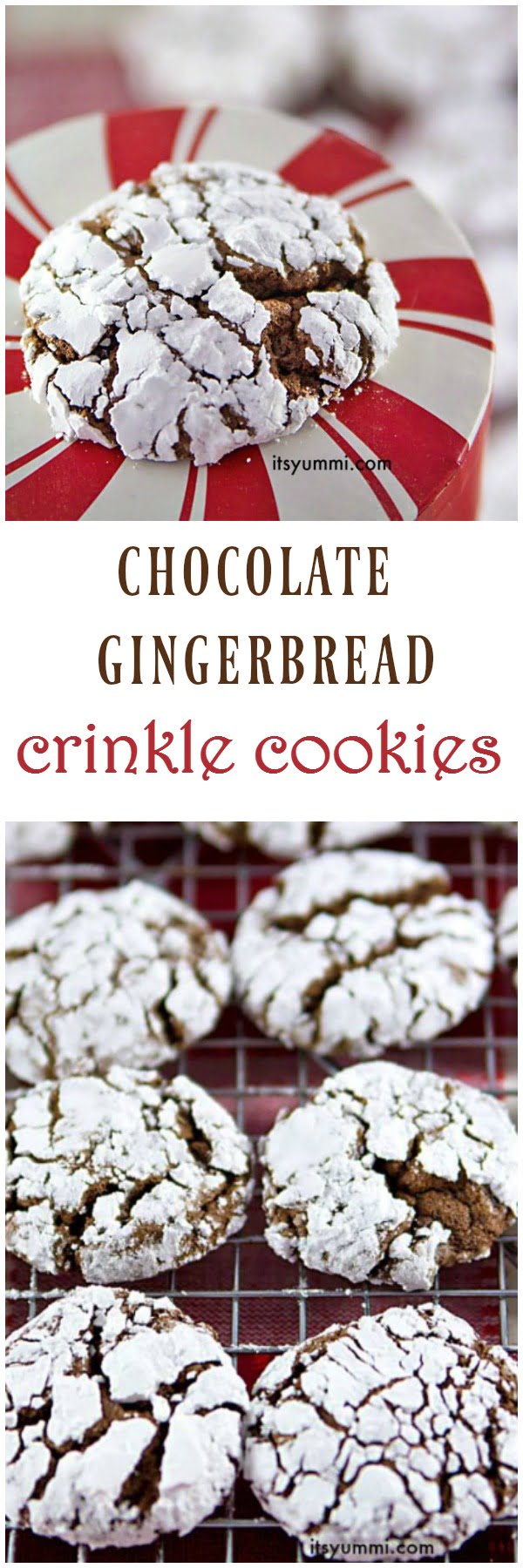 Chocolate Gingerbread Crinkles {Easy Cookie Recipes}