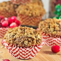 bakery style cranberry muffins with streusel topping