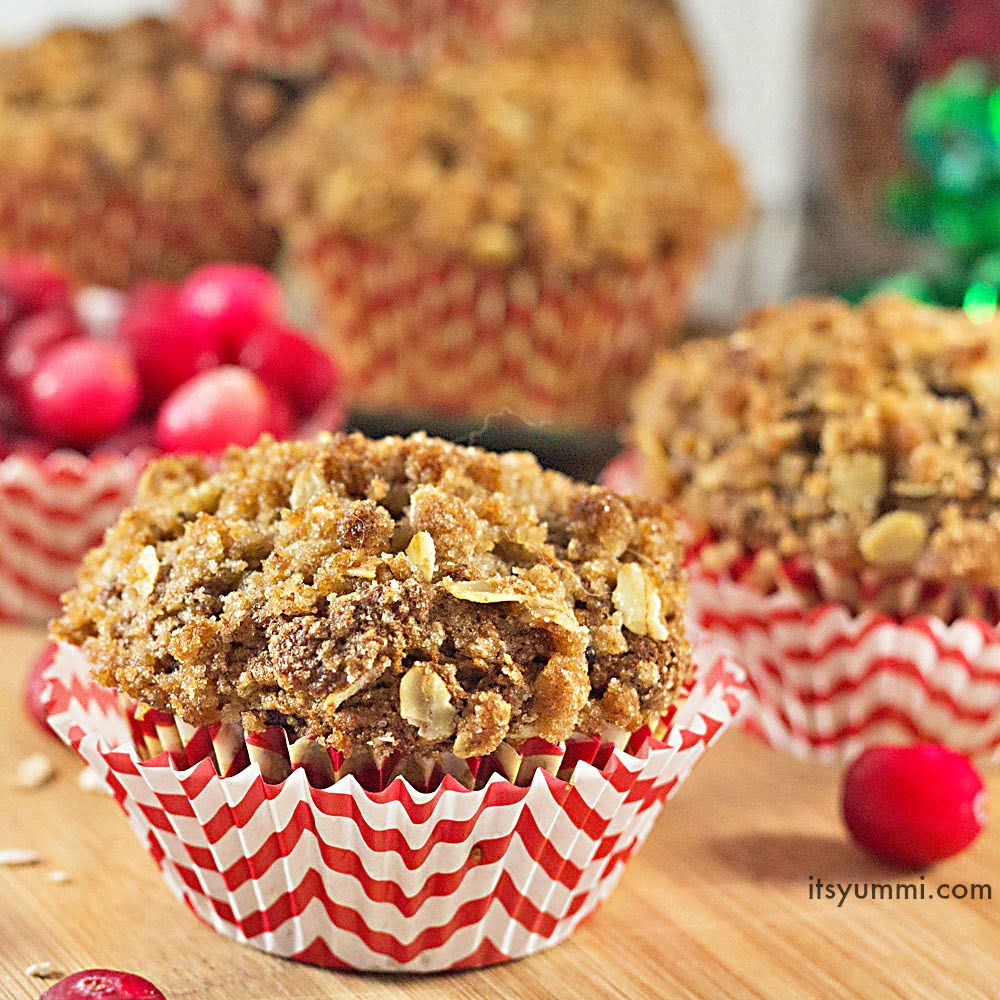 Cranberry Muffins with Oat Streusel Topping
