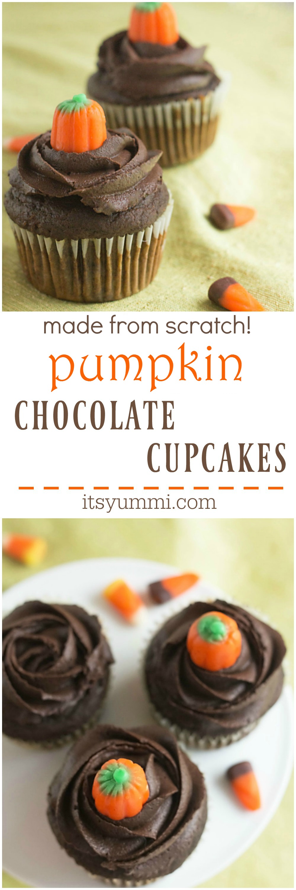 Pumpkin Chocolate Cupcakes, made from scratch! Rich chocolate cupcakes, made with real pumpkin puree, topped with whipped chocolate ganache frosting. Recipe on itsyummi.com