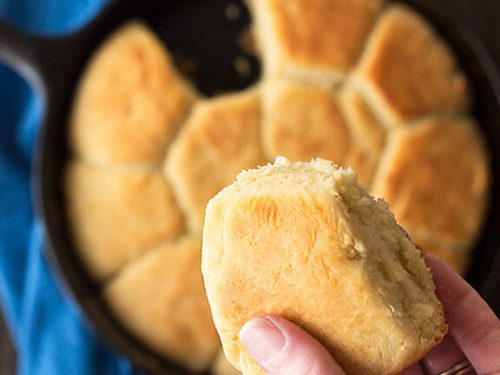 Quick Yeast Rolls Recipe