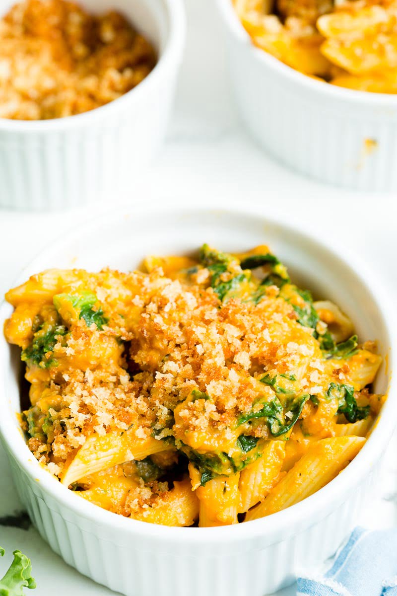 A close up of creamy turkey pumpkin pasta topped with browned breadcrumbs in a white bowl. 