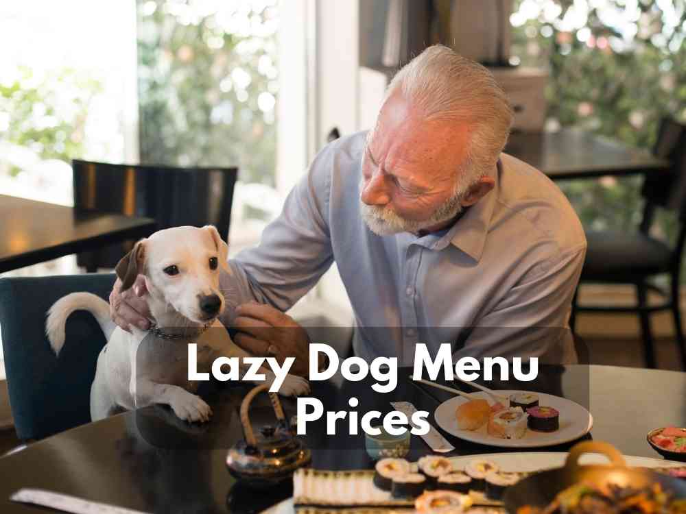 Lazy Dog Menu Prices 2023 (Late Night Meals & Drinks)