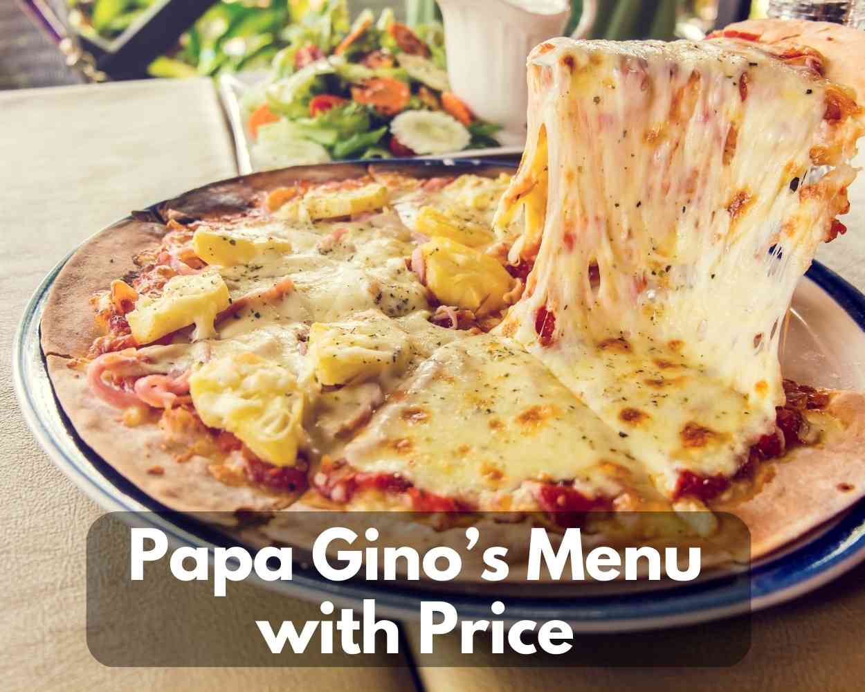Papa Gino’s Menu With Price + Catering 2023 (New England’s Famous Pizza)